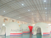 Commercial wholesale Luxurious Inflatable Bubble Tent Lodge Party Rental bubble balloon house Igloo Dome Tent
