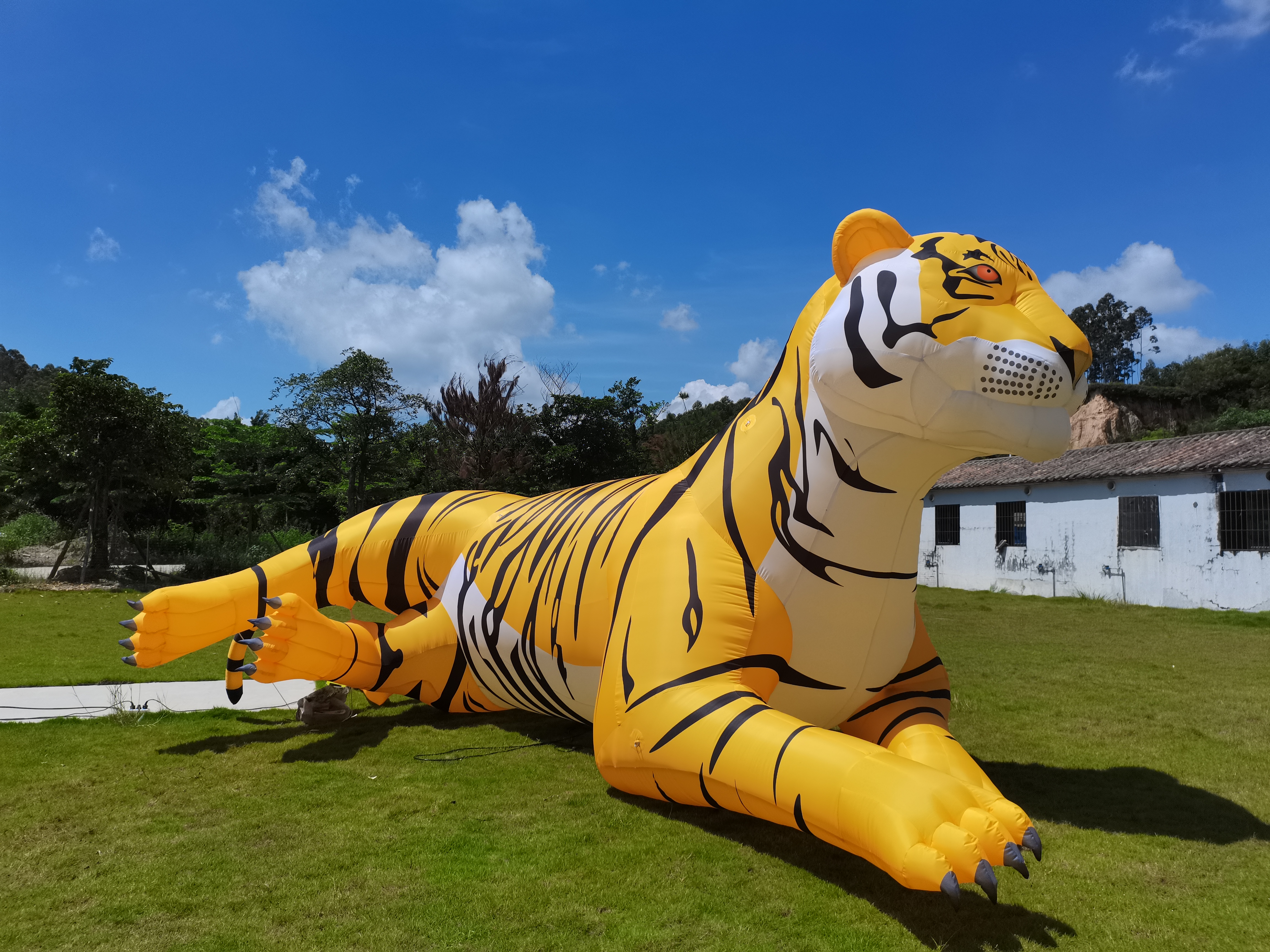 Customized Decoration Giant Inflatable tiger, Advertising Inflatable Cartoon tiger