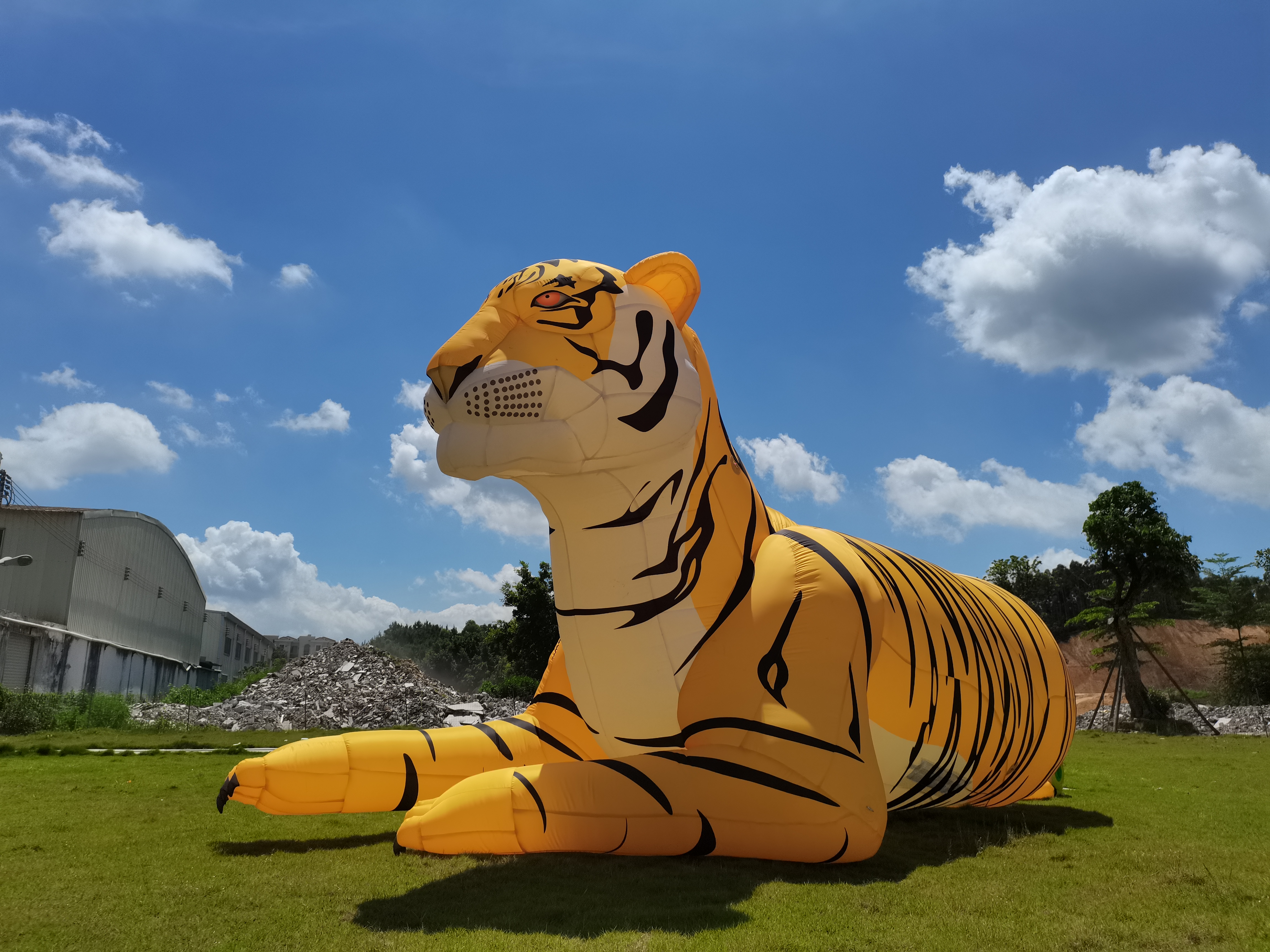 Customized Decoration Giant Inflatable tiger, Advertising Inflatable Cartoon tiger