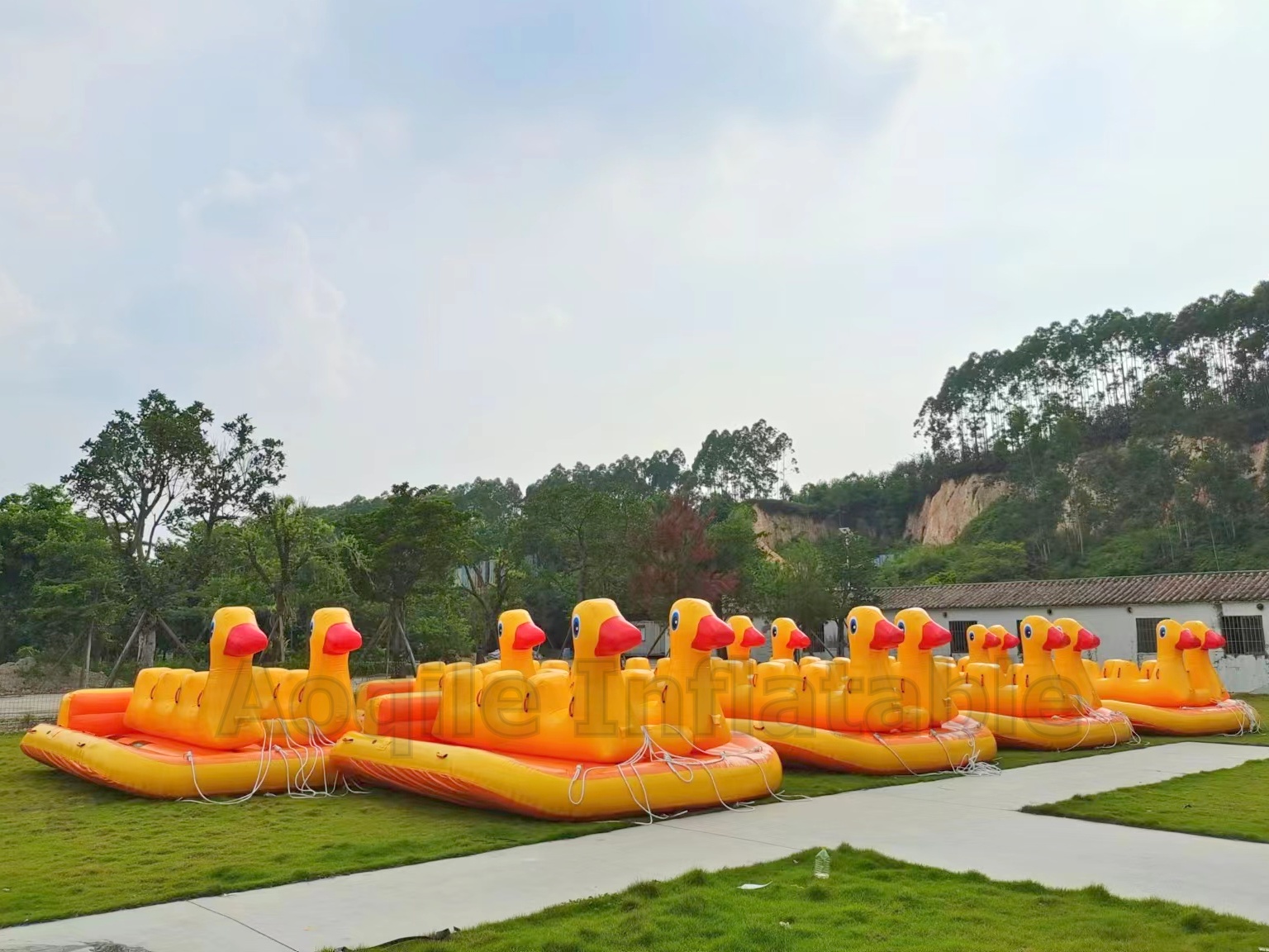 Custom Animal Shape Inflatable Towable Duck Boat Inflatable Water Sports Flying Fish Game Equipment