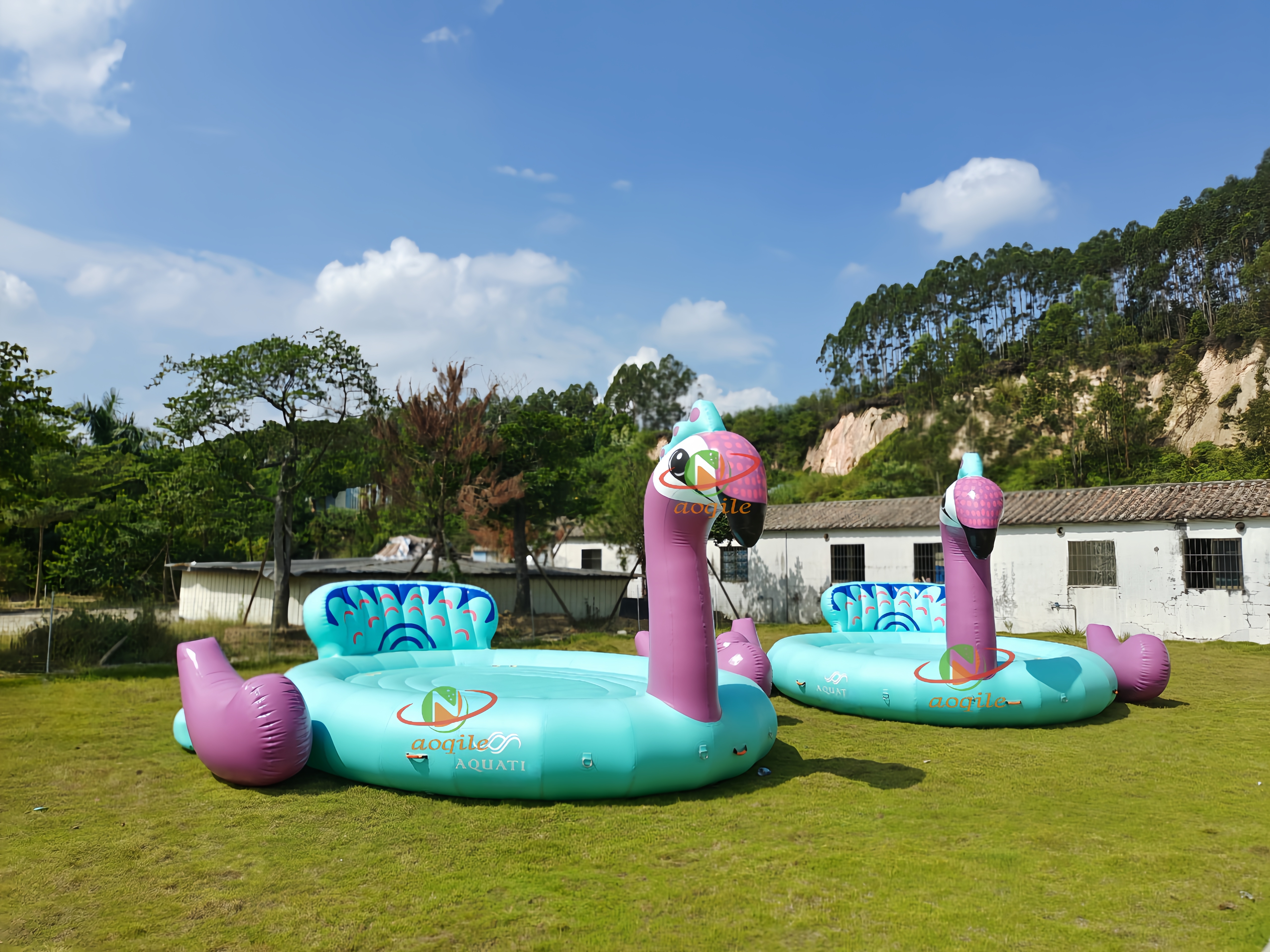 Inflatable Product Colored Swan/inflatable Large Toys Float Product