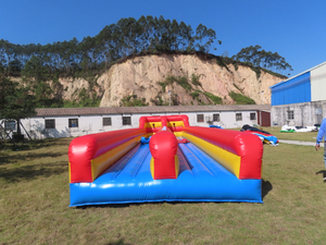 High Quality Custom Inflatable Straight Slide Equipment