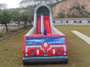 Inflatable Water Park Swimming Pool Water Slide，2-person access